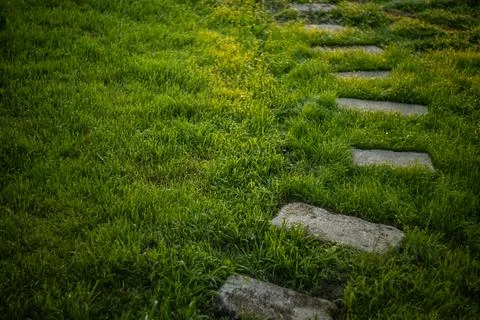 Stone path in the garden Stock Photos