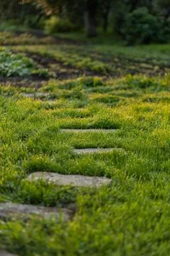 Stone path in the garden Stock Photos