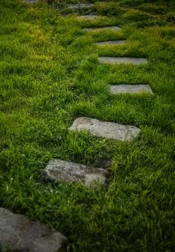 Stone path in the garden Stock Photos