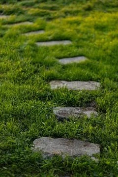 Stone path in the garden Stock Photos