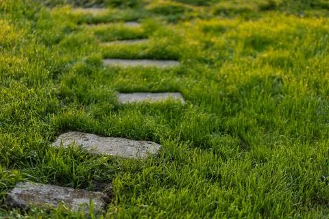 Stone path in the garden Stock Photos