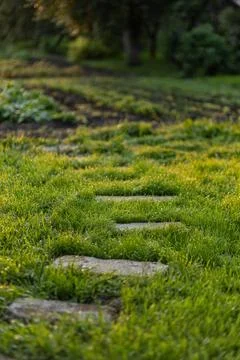 Stone path in the garden Stock Photos