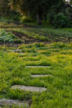 Stone path in the garden Stock Photos