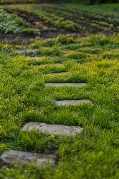 Stone path in the garden Stock Photos