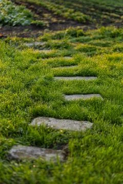 Stone path in the garden Stock Photos