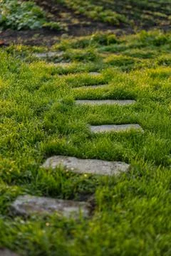 Stone path in the garden Stock Photos