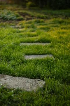 Stone path in the garden Stock Photos