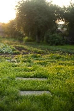 Stone path in the garden Stock Photos