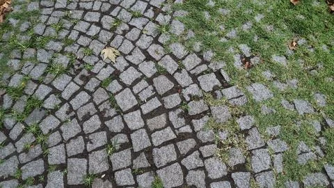 Stone path with grass and leaves in urban area Stock Photos