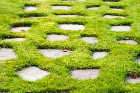 Stone path in the green grass park garden Stock Photos