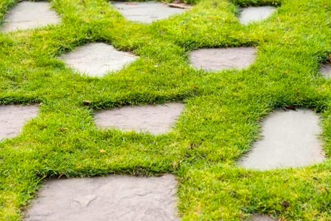 Stone path in the green grass park garden Stock Photos