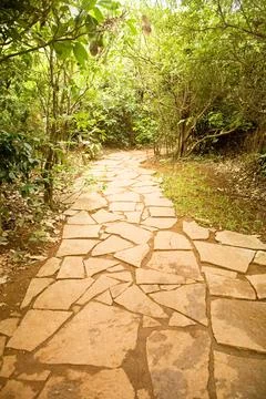 Stone path in green trees, Palolem beach, Goa, India Foto stock