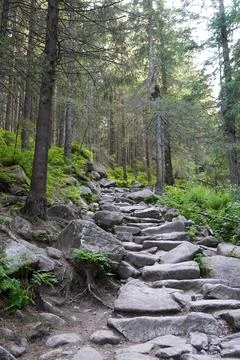 The stone path of the hiking trail Stock Photos