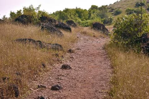 A stone path , leading to the mountain top in Goa Stock Photos