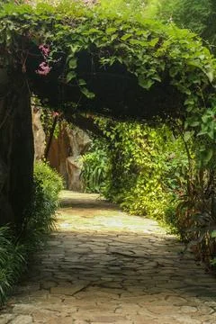Stone path leading through lush greenery Stock Photos