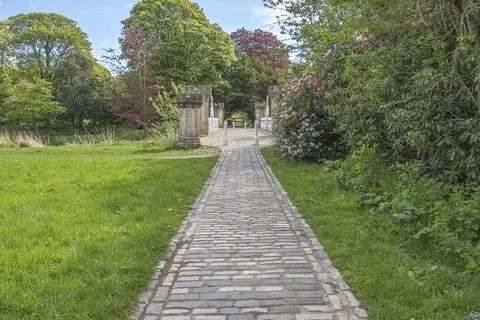 Stone path leads through vibrant green lawn Stock Photos