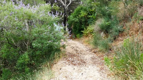Stone path to the mountain, camera moves as man walks Stock Footage 95724384