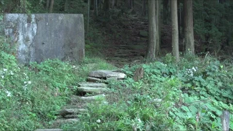 Stone path in the mountains Stock Footage 235135143