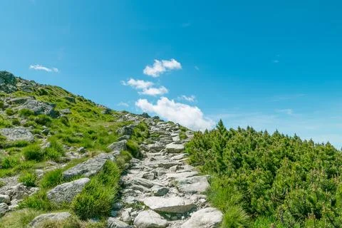 Stone path in the mountains. Hiking in the mountains in summer. Summer holi.. Stock Photos