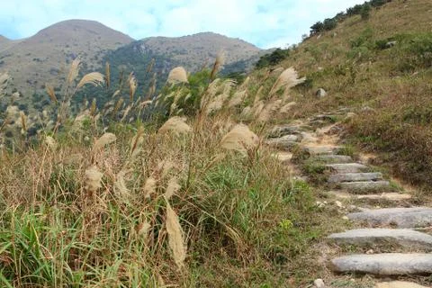 Stone path in the mountains Stock Photos