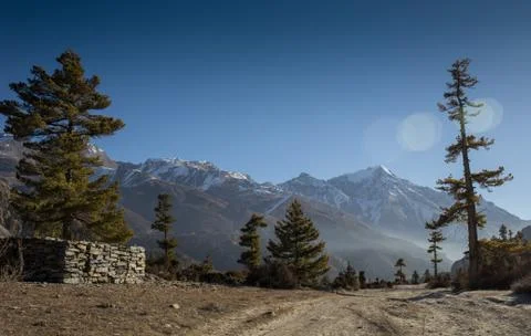 Stone path in the mountains Stock Photos