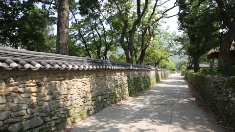 Stone path in the park Video stock 310156780