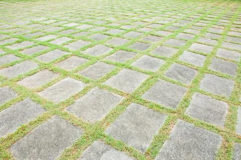 Stone path in the park Stock Photos