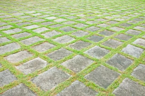 Stone path in the park Stock Photos