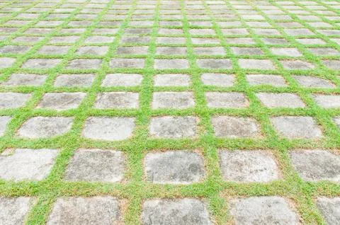 Stone path in the park Fotos de archivo