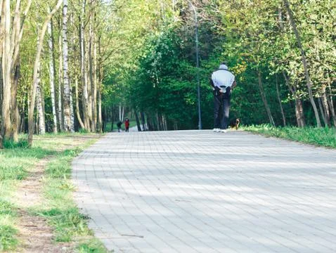 The stone path in the park. Stock Photos
