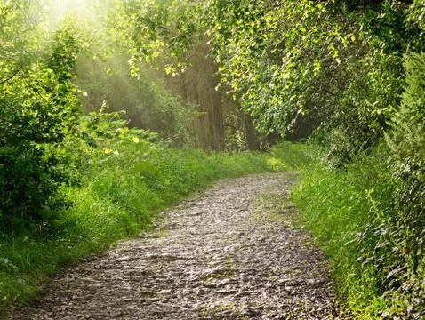 Stone path in park Stock Photos