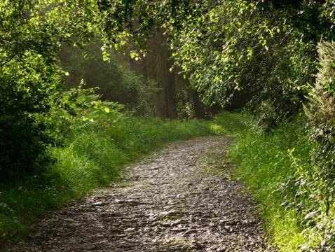 Stone path in park Stock Photos