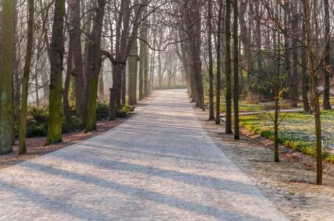 The stone path in the park, the road from the bricks in the city park Stock Photos