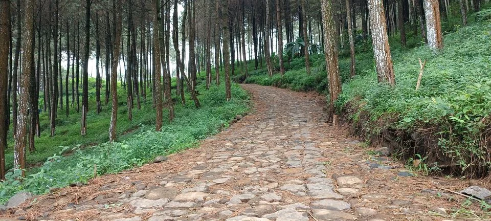 Stone path Photos