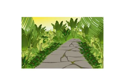 Stone path in the rainforest Illustrazione stock