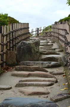 A stone path with stepping stones between a bamboo fence. Stock Photos