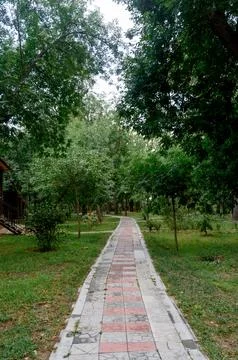 Stone path surrounded by greenery and trees. Stock Photos