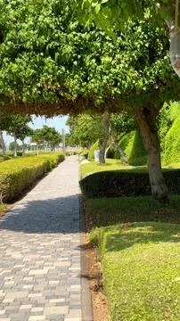 Stone path surrounded by manicured hedges under lush trees creates peaceful Stock Photos