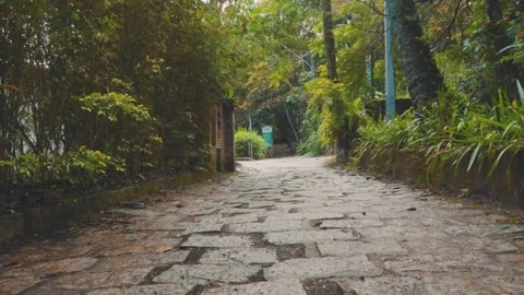 STONE PATH THROUGH THE FOREST Stock Footage 151012171