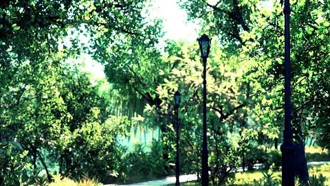 Stone Path through a Peaceful Green Park Ilustración de archivo