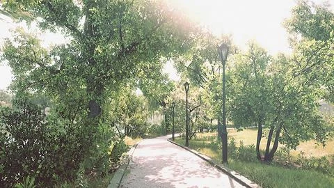 Stone Path through a Peaceful Green Park Ilustración de archivo