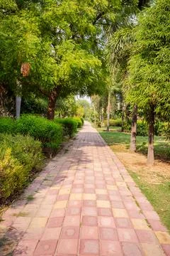 Stone Path Through Peaceful Green Park Landscape Fotos Stock