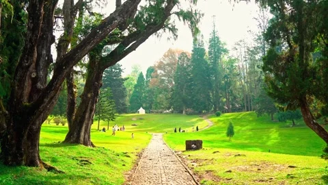 Stone path through shaded green park Stock Footage 333499424
