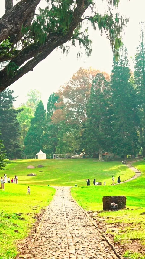 Stone path through shaded green park Stock Footage 333499925