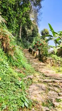 Stone path to the top. Photos
