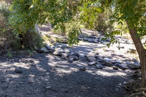 Stone path trail under tree shadows near a lake Stock Photos