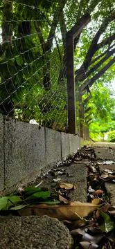 Stone path with trees, foliage and fence Stock Photos