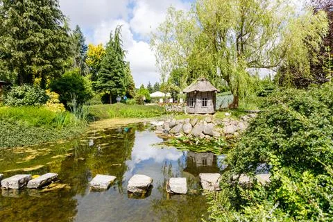 Stone path in the water Stock Photos