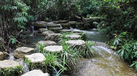 Stone path waterfall 動画素材 32236580