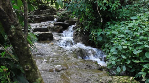 Stone path waterfall Vidéo 32236911